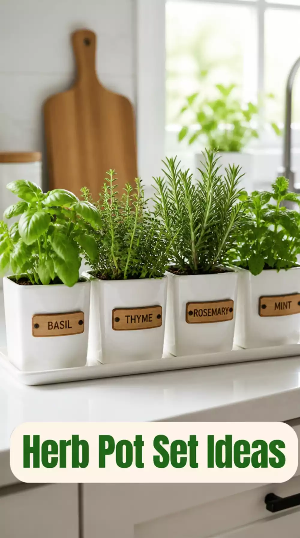 Labelled Kitchen Herb Pot Set in White Ceramic with a Burnt Wood Label